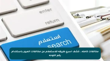 مخالفات كاملة.. كشف أسرع طريقة للاستعلام عن مخالفات المرور باستخدام رقم اللوحة